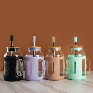 Glass Handle Water Drinking Bottle with Straw and Cap High Borosilicate 